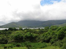 IMG_2310