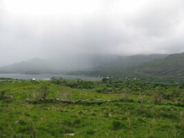 IMG_2312