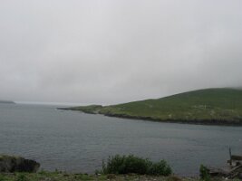 IMG_2443
