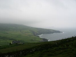IMG_2470