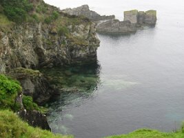IMG_2483