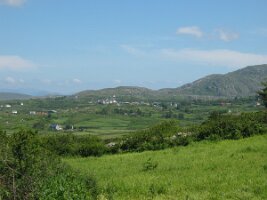 IMG_2504