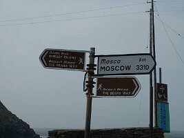 beara06