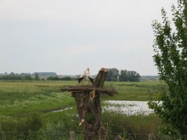 Rijnroute 2004 (1)