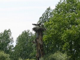 Rijnroute 2004 (109)