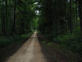 Rijnroute 2004 (11)