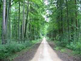 Rijnroute 2004 (12)