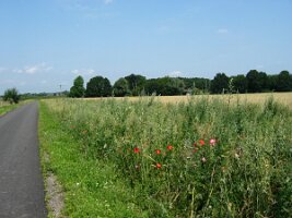 Rijnroute 2004 (167)