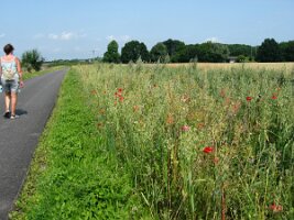 Rijnroute 2004 (169)