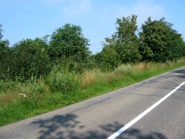 Rijnroute 2004 (189)
