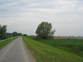 Rijnroute 2004 (233)