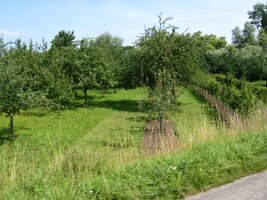 Rijnroute 2004 (95)